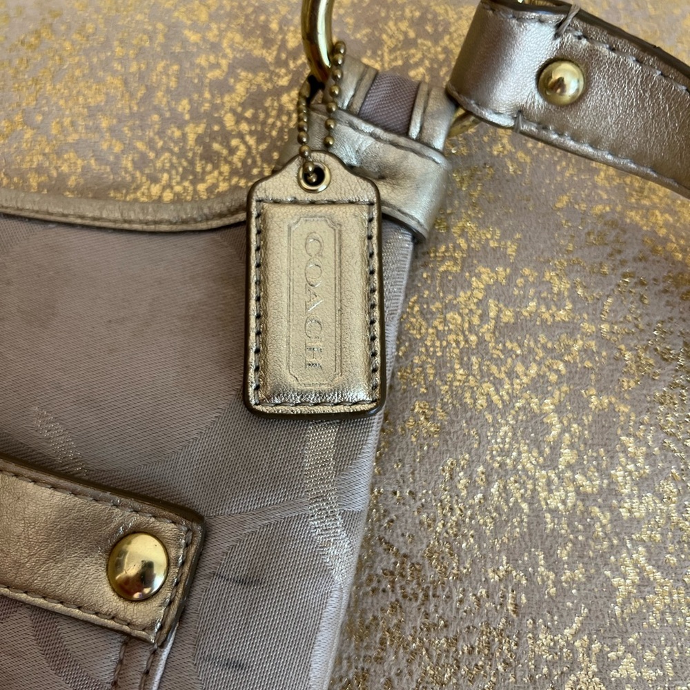 Coach Gold and Silver Textured Bag